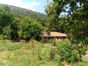 Beautiful apartment Casa o Rio in Ribeira sacra ES